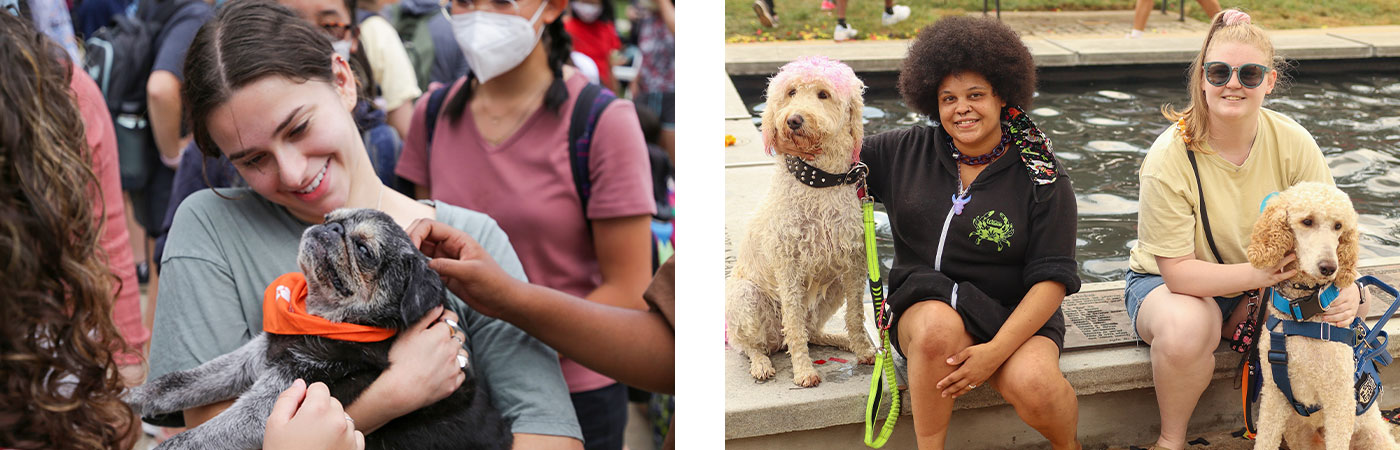 student holding emotional support dog on left and two handlers with their dogs sitting on the McKeldin fountain on right