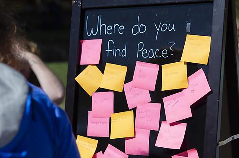 Chalkboard with pink and orange sticky notes.