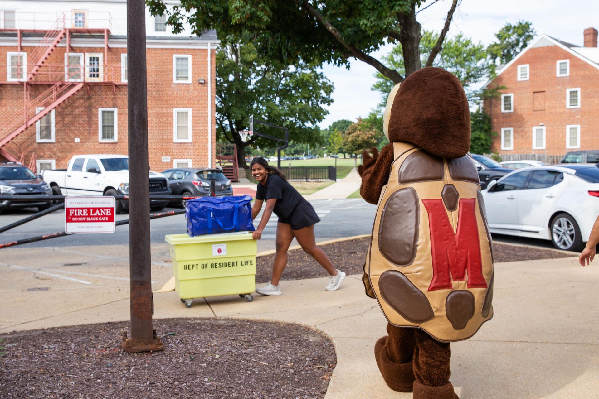 A student pushes a yellow move-in bin past Testudo at Leonardtown Community.